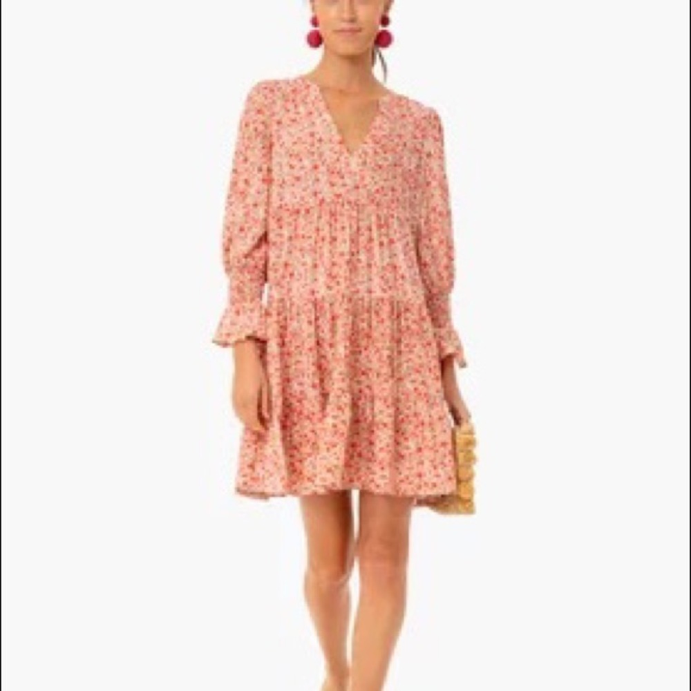 Pomander Place Tuckernuck Women's  Kenzo Mini Dress Savannah Floral Size S NWOT